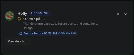 Severe storm alert